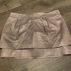 Silver Express Skirt